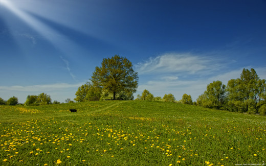 485839 (a): :1920x1200